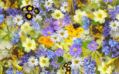Rituel holistique éphémère: Réveil Intérieur, soin de 2h pour entrer dans le printemps.