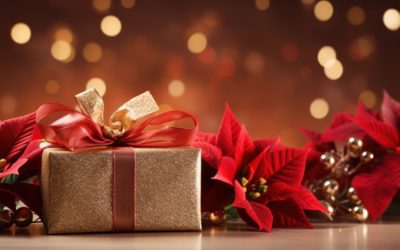 Les offres de Noel 2025 chez Terre de Rituels